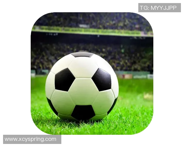 足球明星画像全解析：从球场传奇到个人魅力的多维度展示