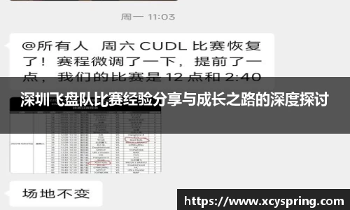深圳飞盘队比赛经验分享与成长之路的深度探讨